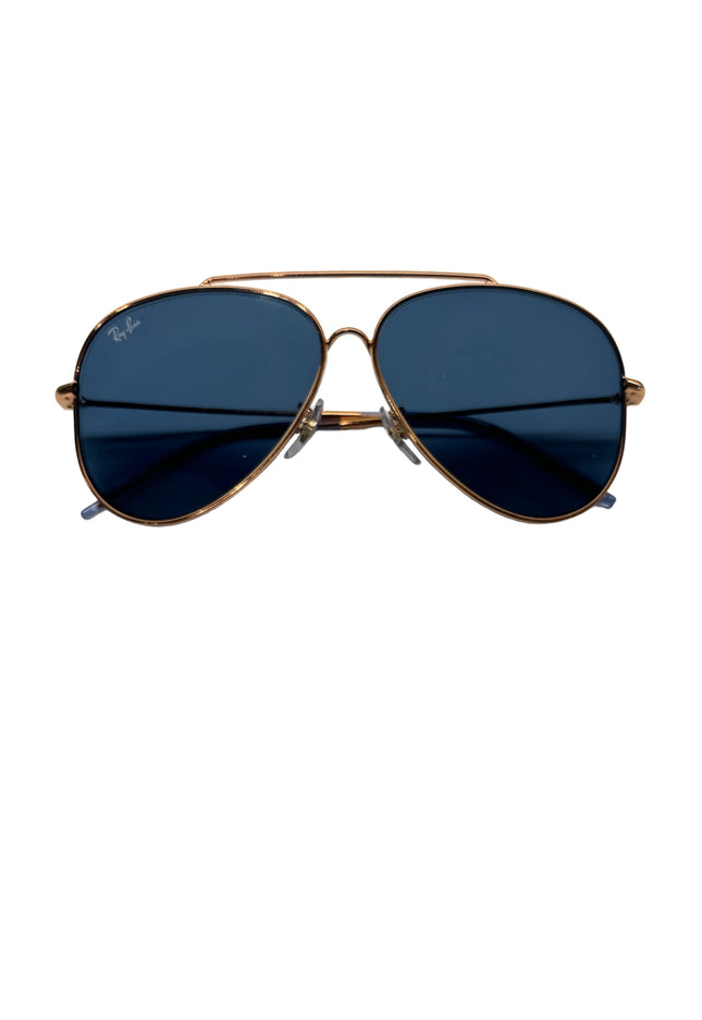RayBan Reverse